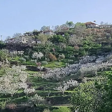 Apartment Vila Dean Berat