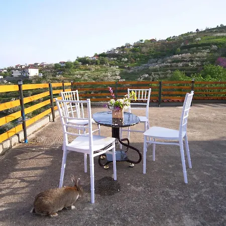 Vila Dean Apartment *