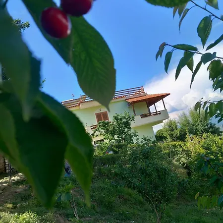 Vila Dean 招待所 培拉特